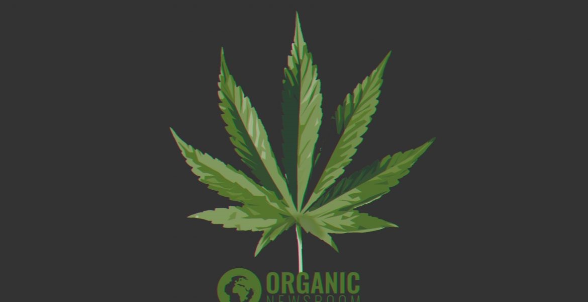 CBD Oil 
      Dog Biscuits Jackson Cove Leicester 
      NC